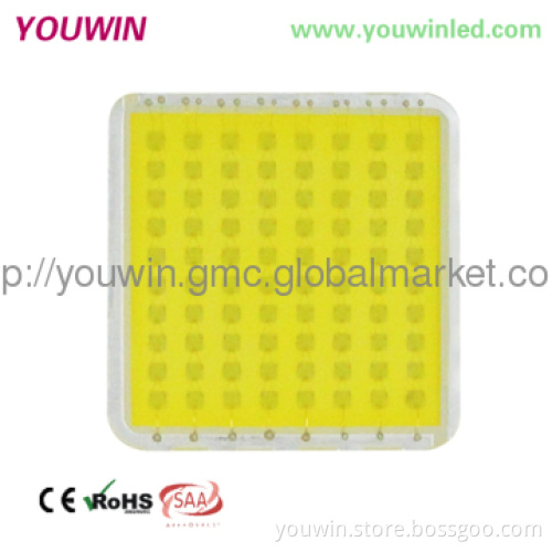 PC or Aluminum Reflector IP65 Hot Sale LED High Bay Lighting